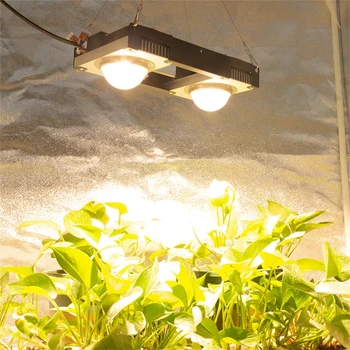 CREE CXB3590 COB LED Grow Light Полный Спектр Citizen1212 200 Вт Светодиодный Светильник для Выращивания Растений в Помещении, Палатка, Теплицы, Гидропонный Завод