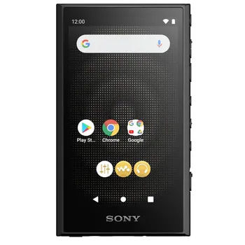 Портативный цифровой музыкальный плеер Sony NW-A306 Walkman 32GB Hi-Res с Android Wi-Fi и Bluetooth и USB Type-C
